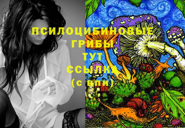 spice Нязепетровск