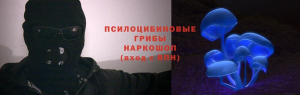 spice Нязепетровск
