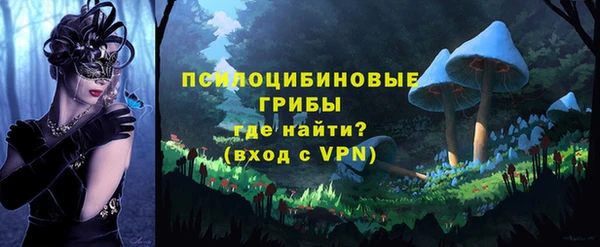 spice Нязепетровск