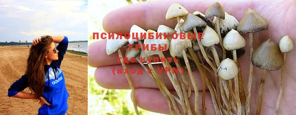 крисы Билибино