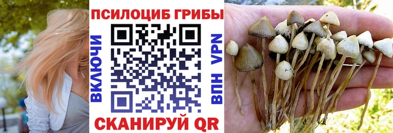 купить  сайты  Чулым  Галлюциногенные грибы Psilocybine cubensis 